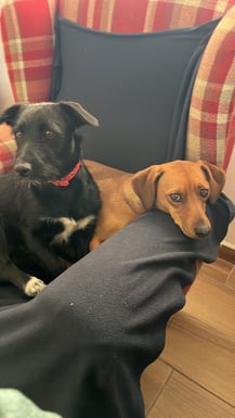 391B59B6-36D6-492F-AD06-A5FCC89803ED